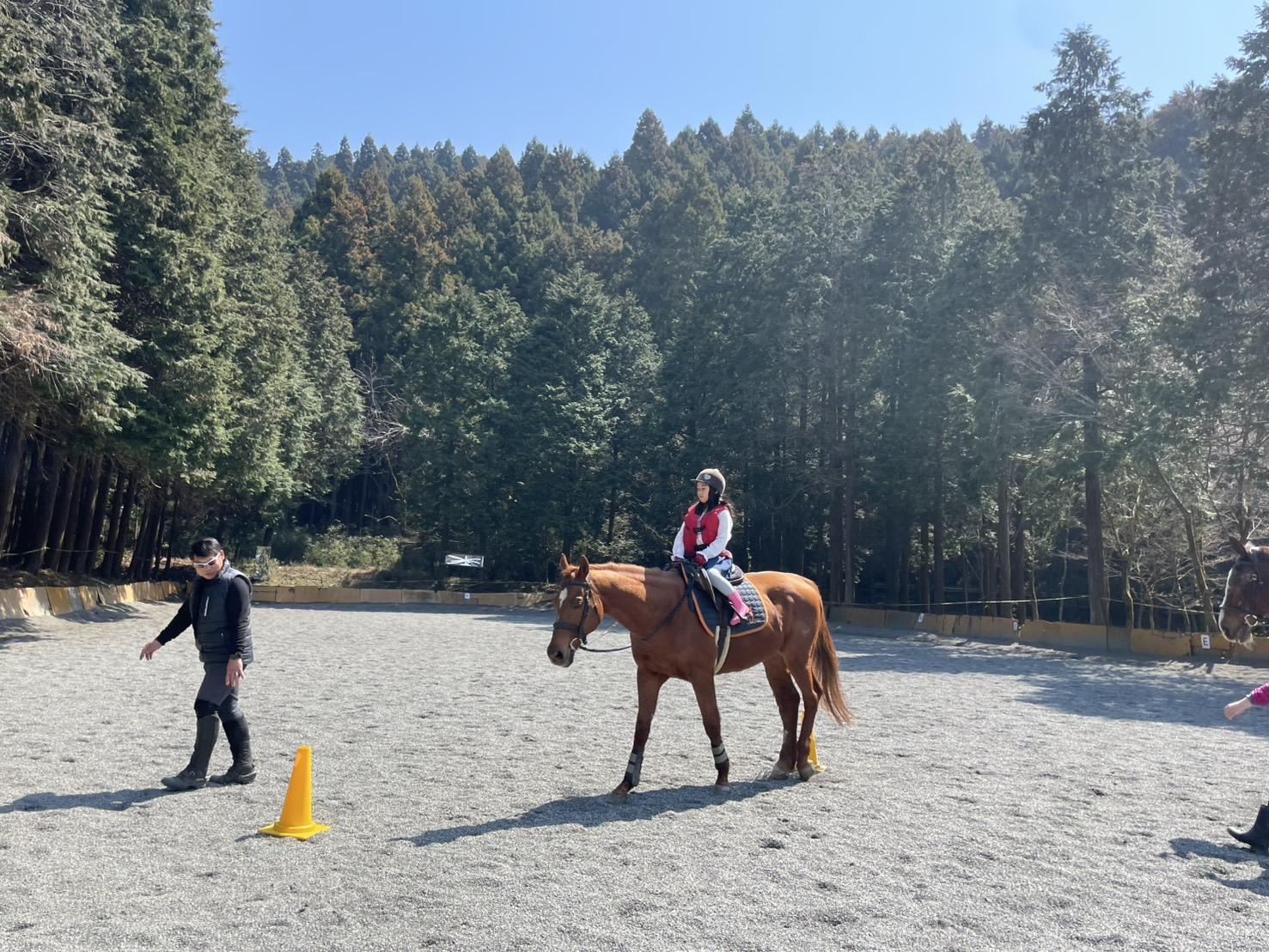 御殿場の自然で育む、9歳までの子ども向け乗馬＆アート教室｜Studio aria 松田希世｜岡本ライディングクラブJapan 岡本雅海