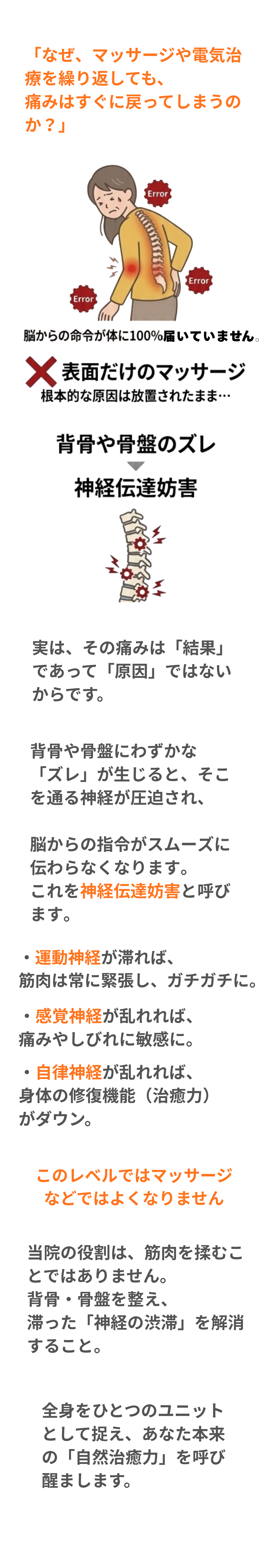 名取市で坐骨神経痛や自律神経の不調を根本改善する仕組みを解説。繰り返す不調の正体は、背骨のズレによる「神経の伝達妨害」です。①感覚神経（痛み・しびれ）、②運動神経（動き・筋力）、③自律神経（内臓・回復）の3つの働きにおいて、どこでエラーが起きているかを特定。マッサージで改善しない足のしびれや慢性の腰痛、頭痛、耳鳴りの原因を精密検査で追求し、神経の伝達を正常化させる名取とがし整骨院の専門施術です。