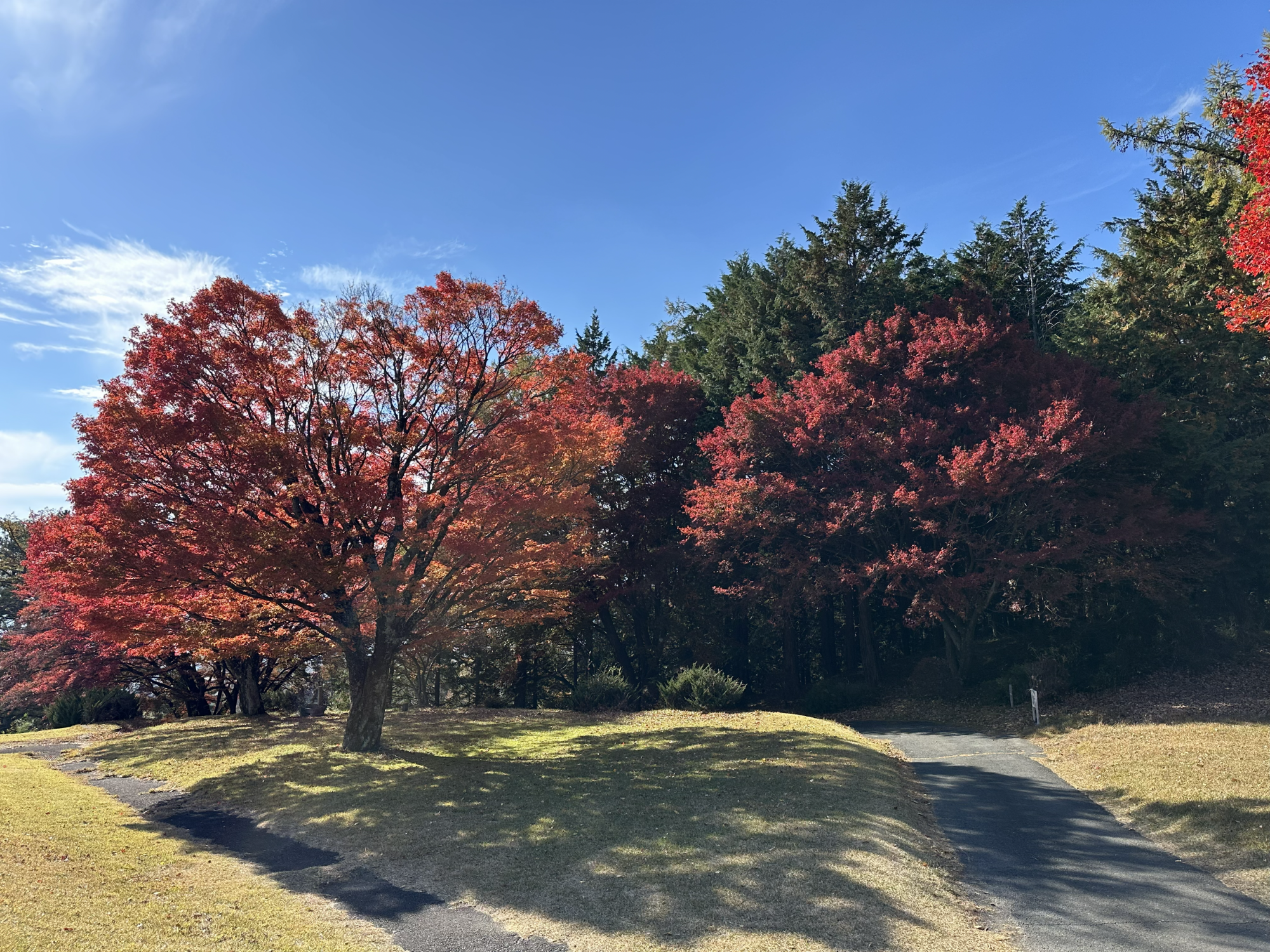 四季折々の赤城山の表情がプレイヤーを包み込む。