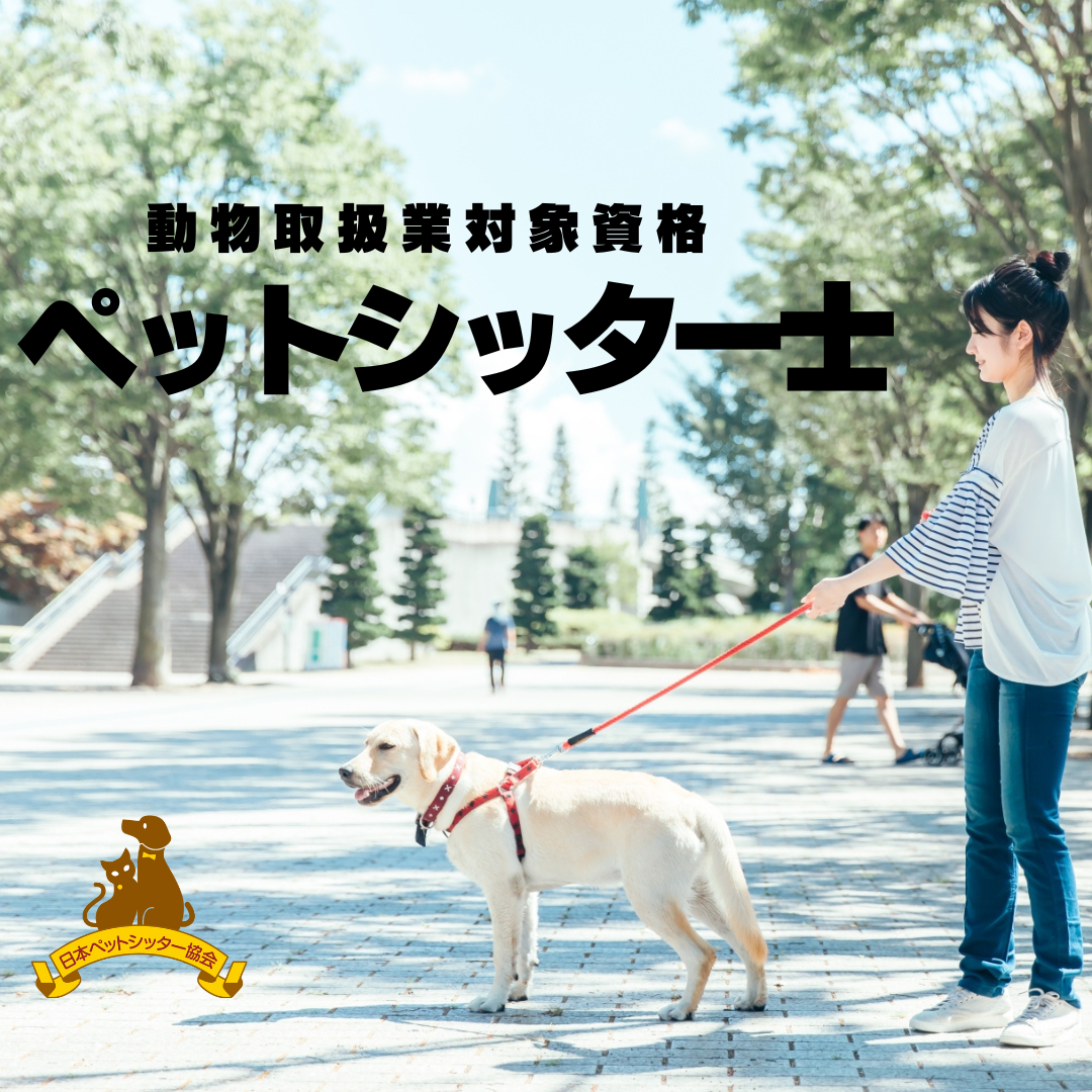 ペットシッター士【オンラインライブコース】の商品画像