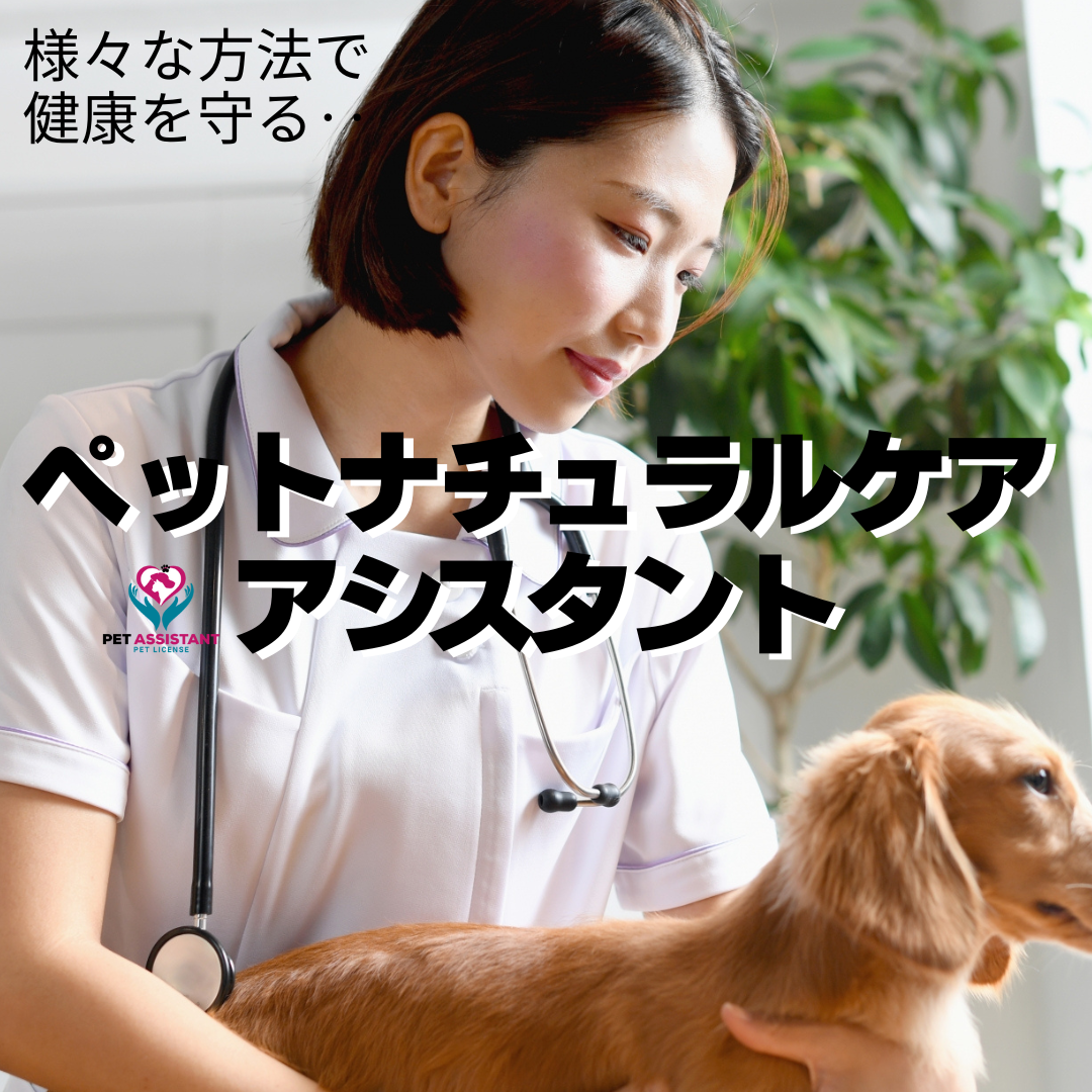 ペットナチュラルケアアシスタント　養成講座の商品画像