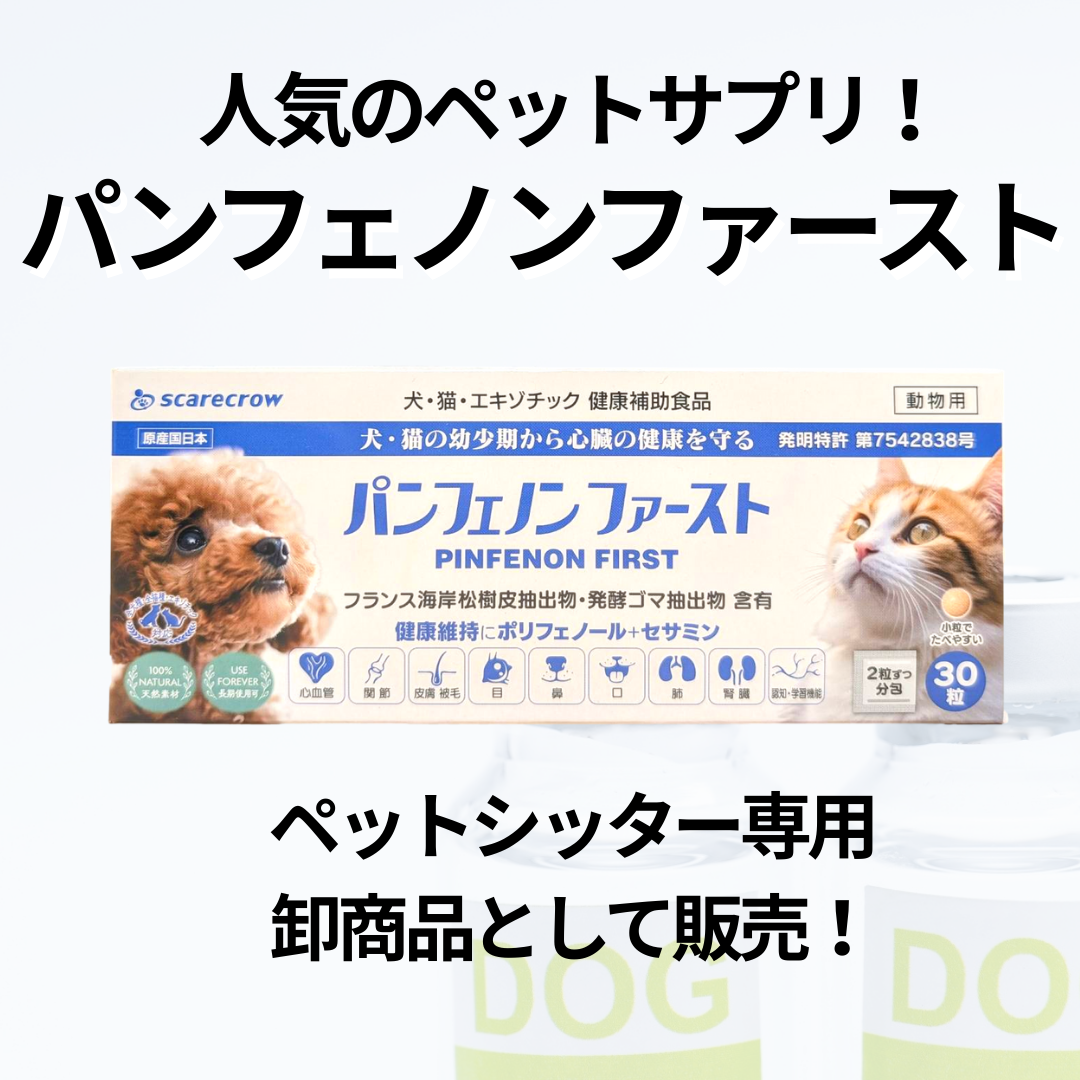 パンフェノンファーストの商品画像