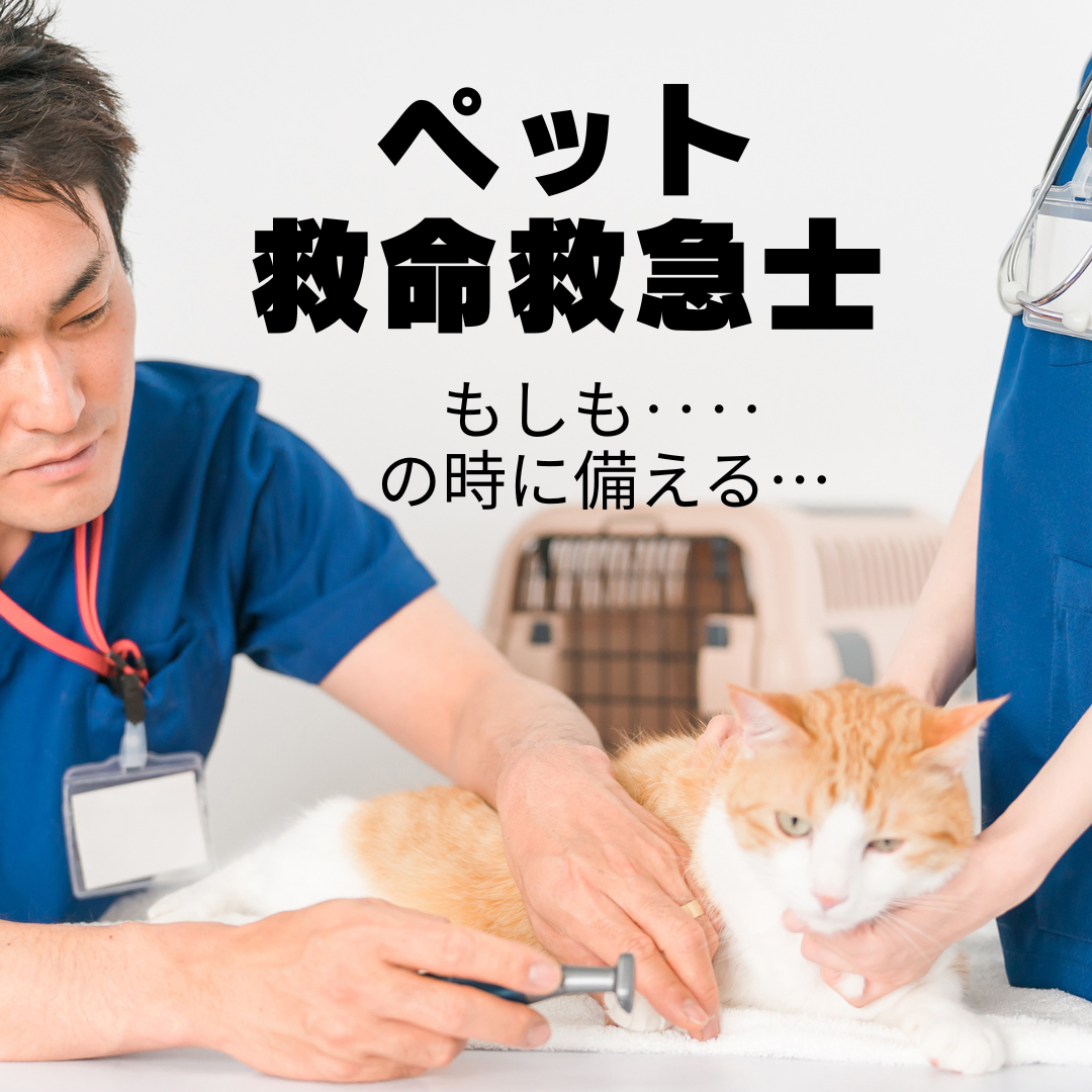 ペット救命救急士　養成講座の商品画像