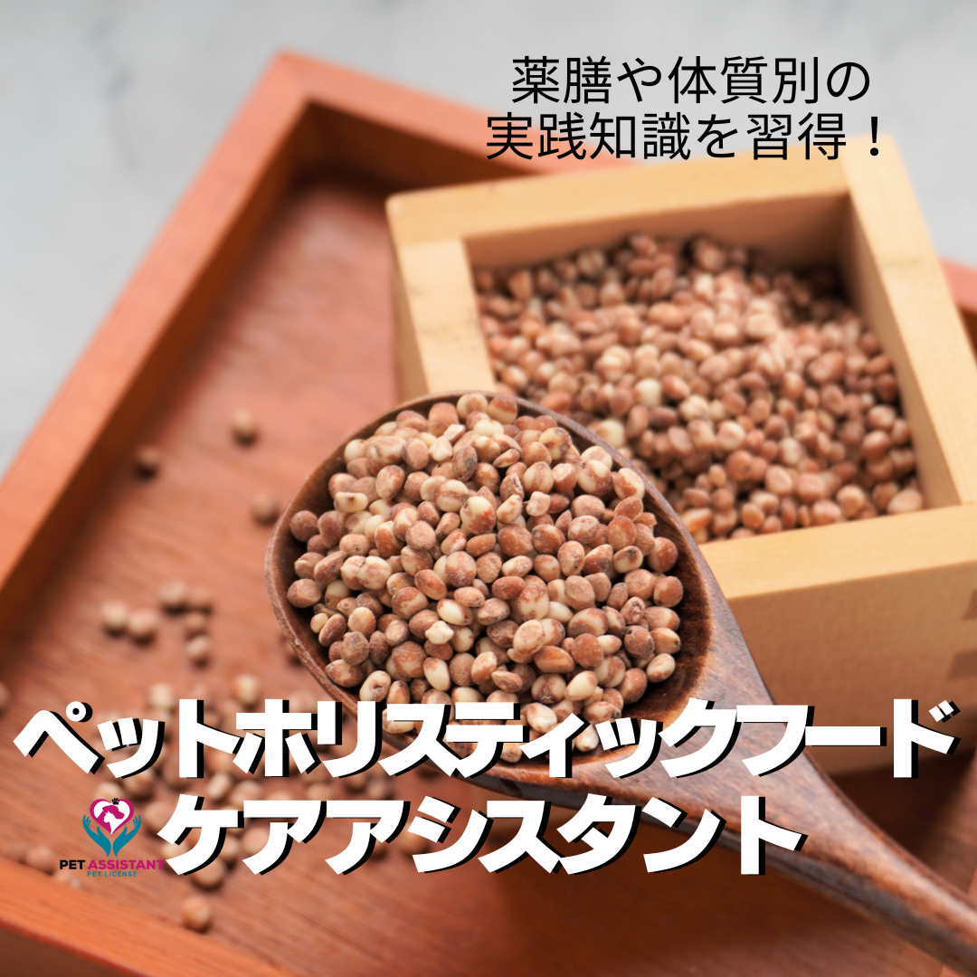 ペットホリスティックフードケアアシスタントの商品画像