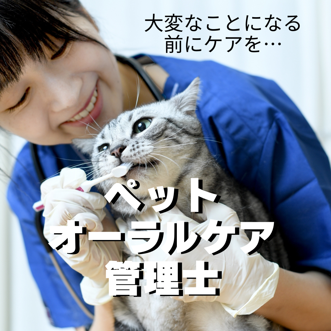 ペットオーラルケア管理士　養成講座の商品画像
