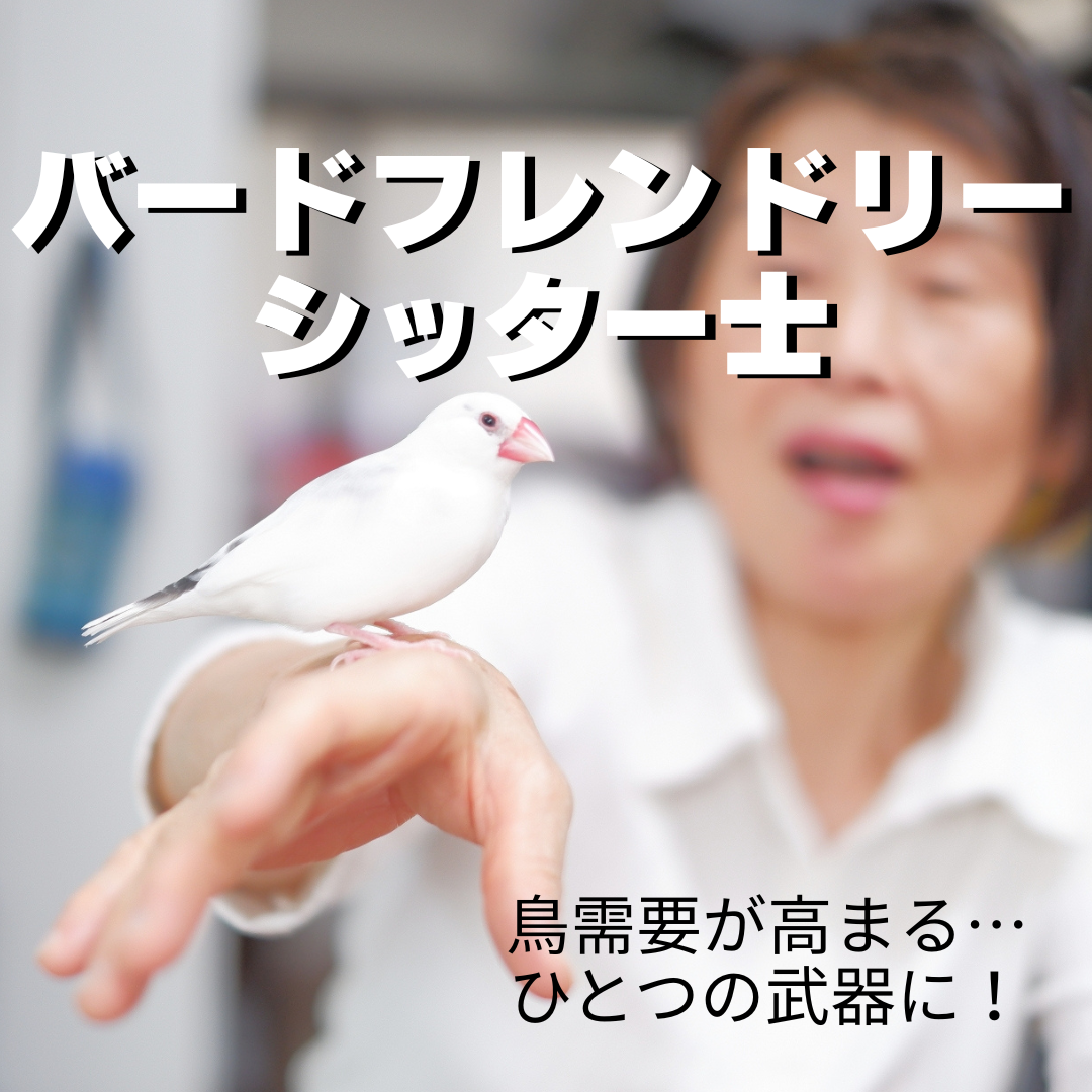 バードフレンドリーシッター士の商品画像