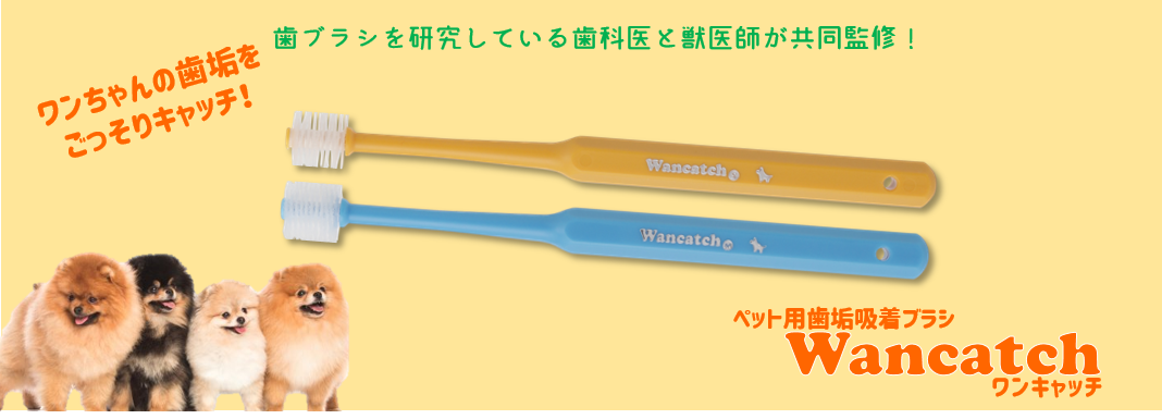 Wancatch