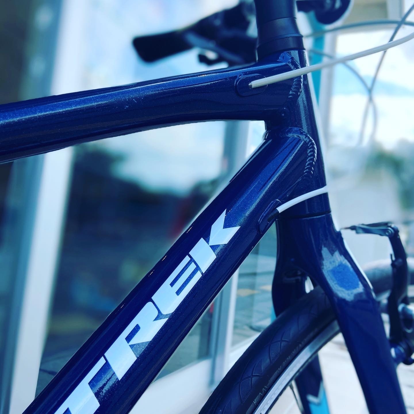 沖縄の 美人過ぎる中古自転車