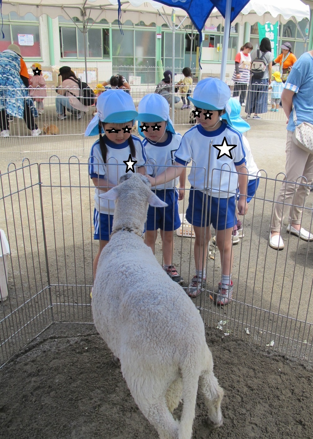 Android Widgets Google Calendar