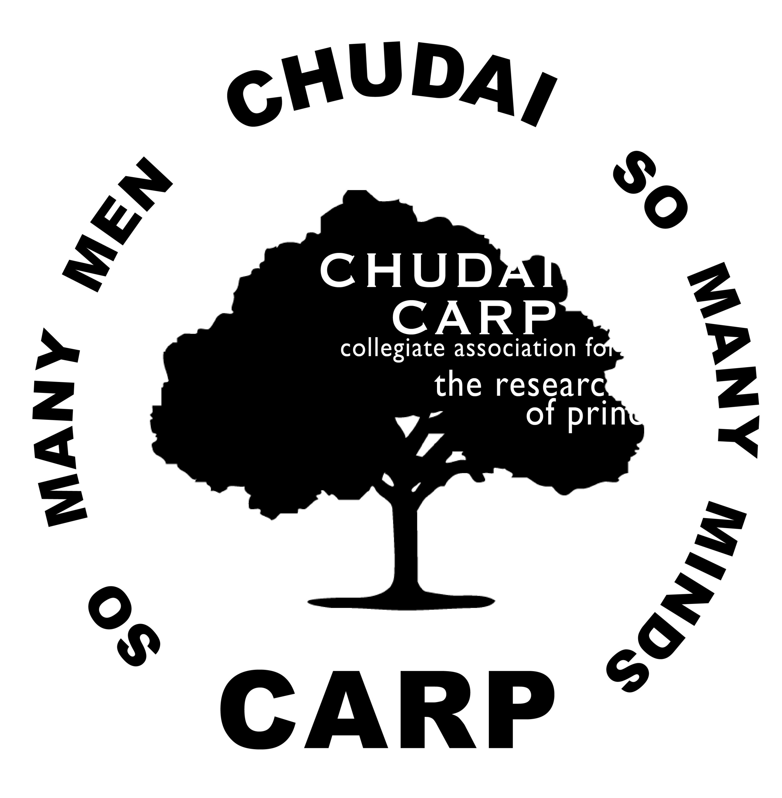 中大カープcarp