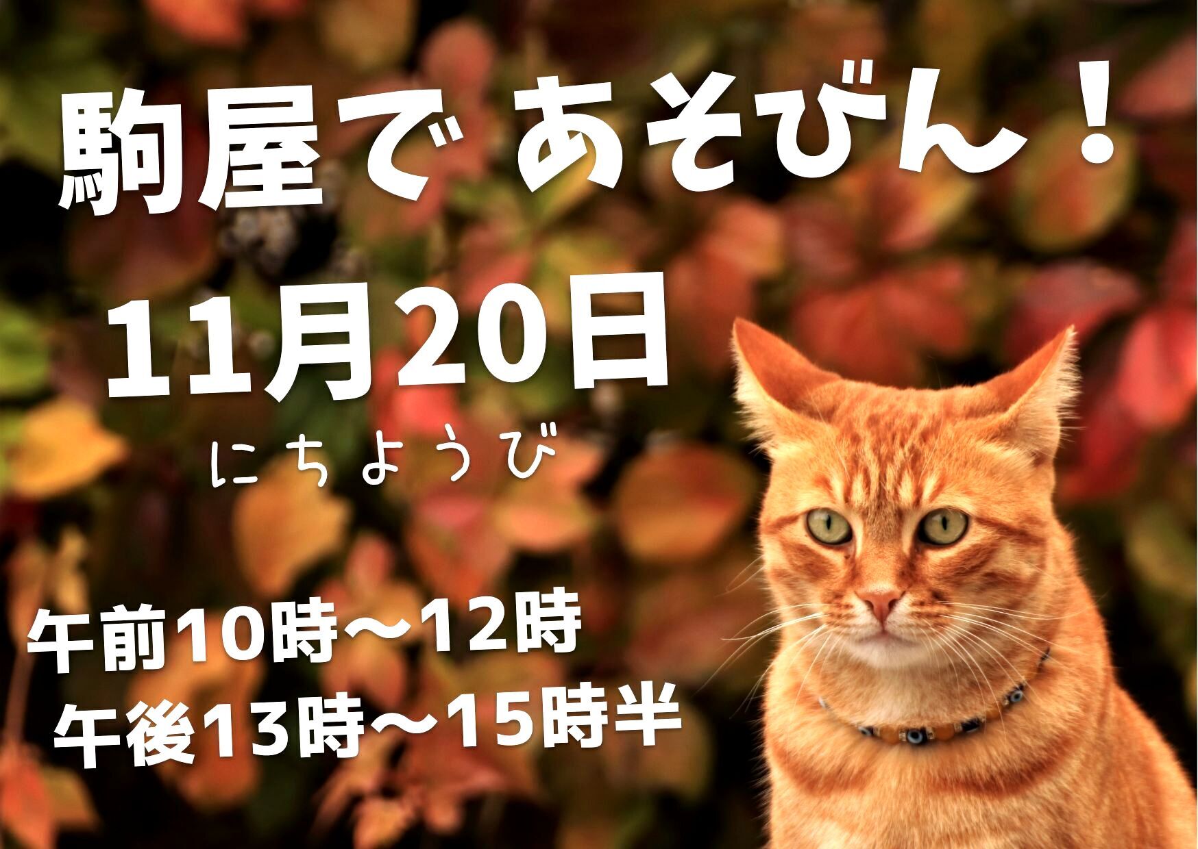 商家 駒屋イベントサイト