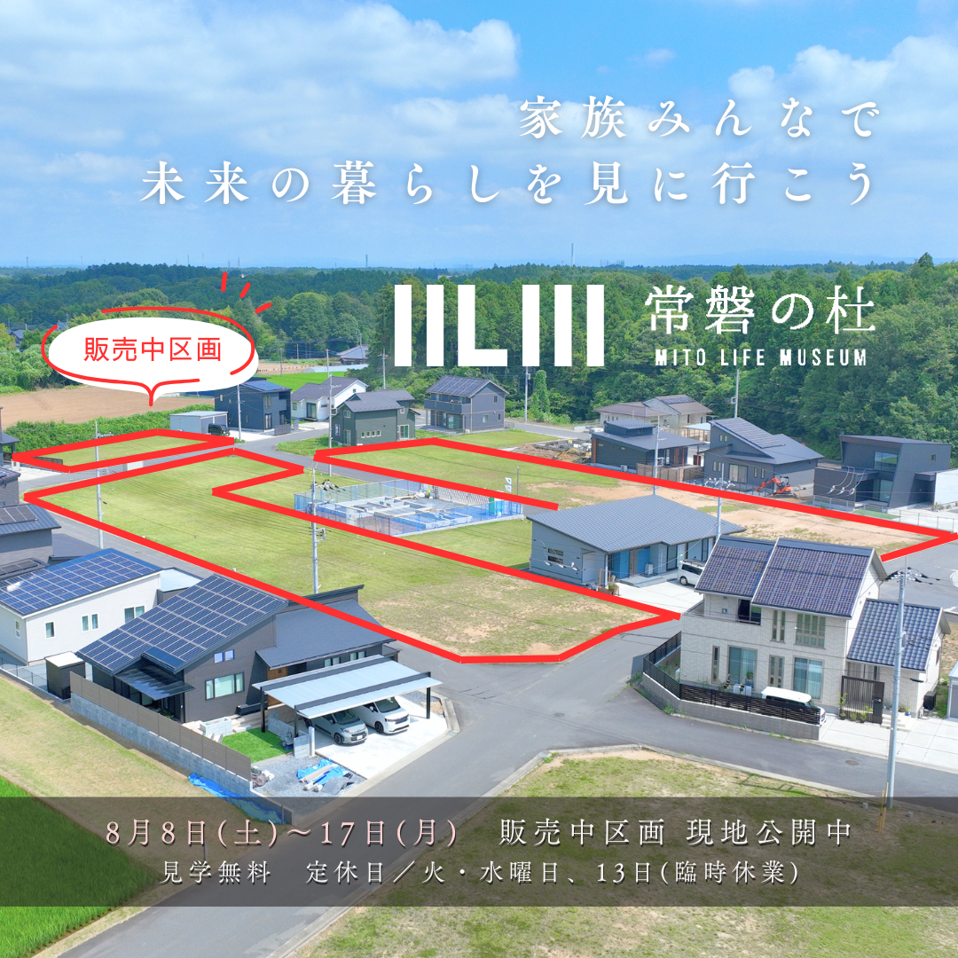 イベント情報