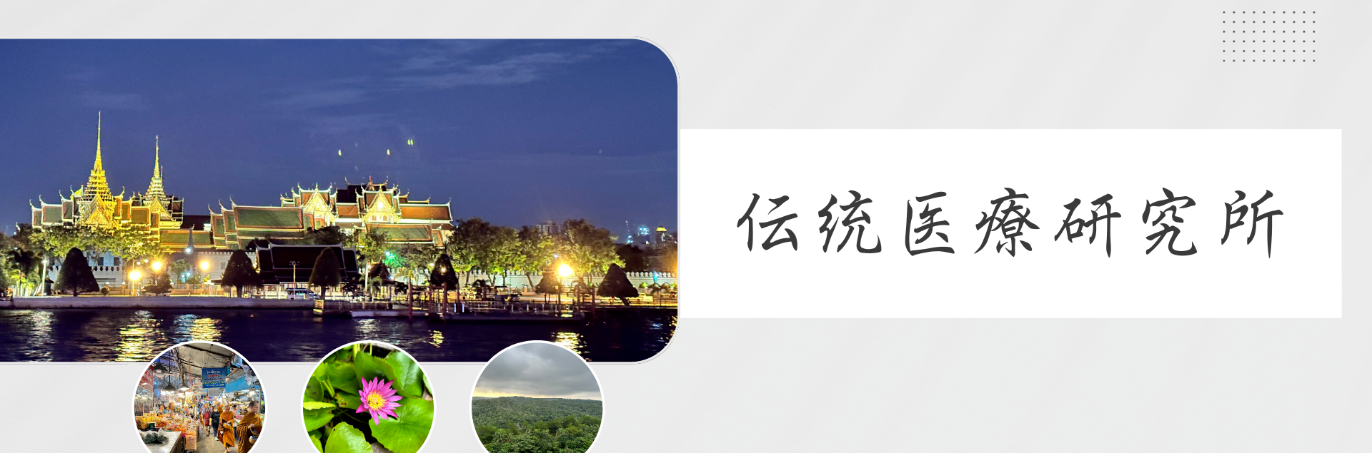 伝統医療研究所