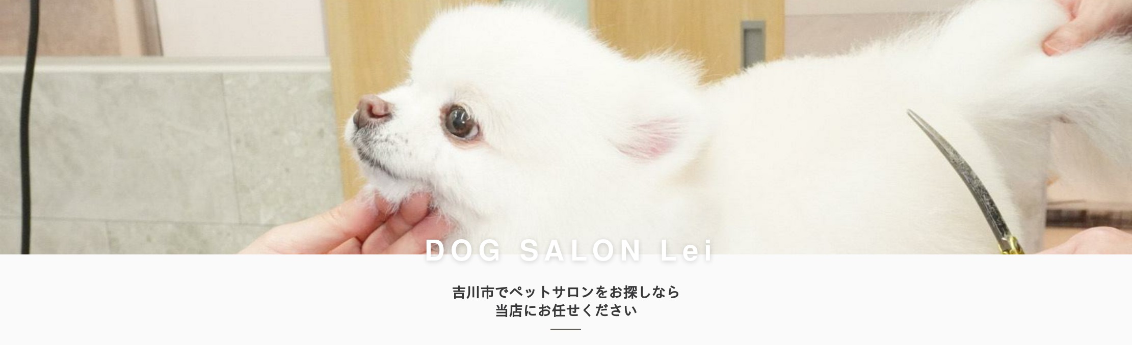 DOG SALON Lei 吉川美南店の外観