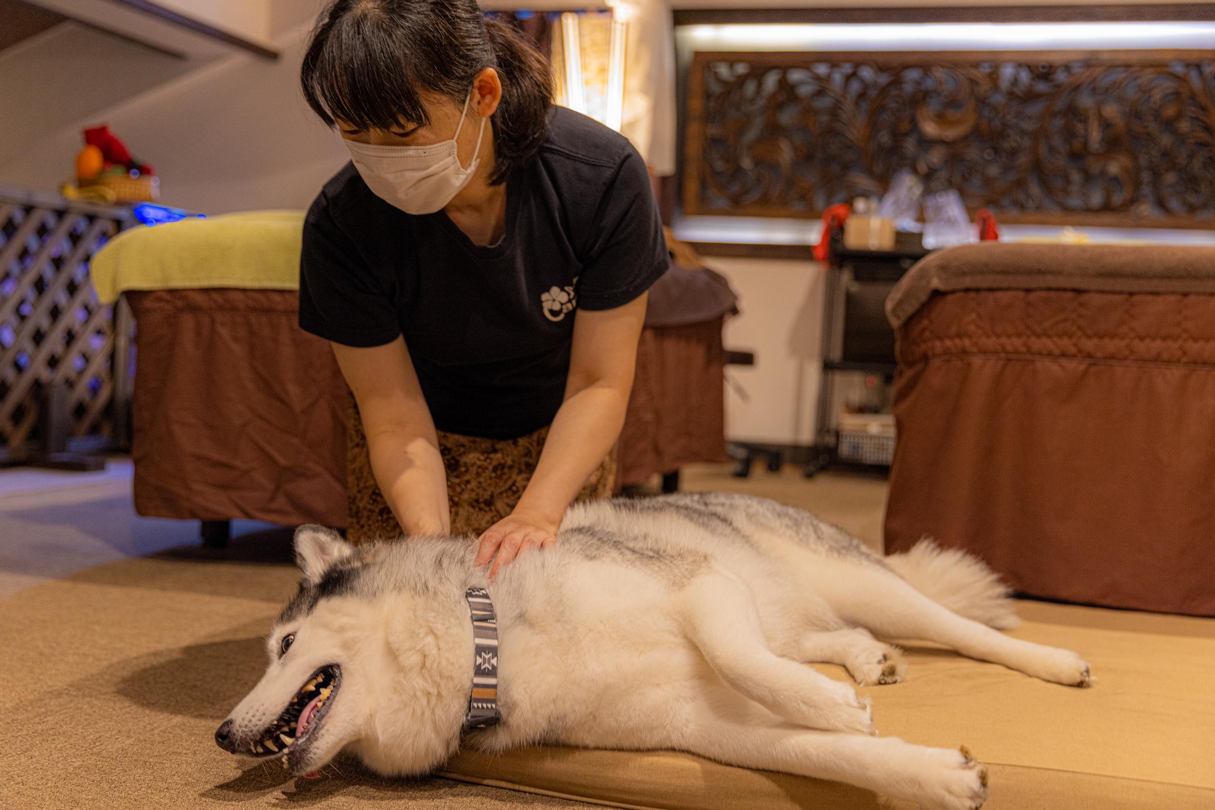 SPA チャンティックのイメージ 3