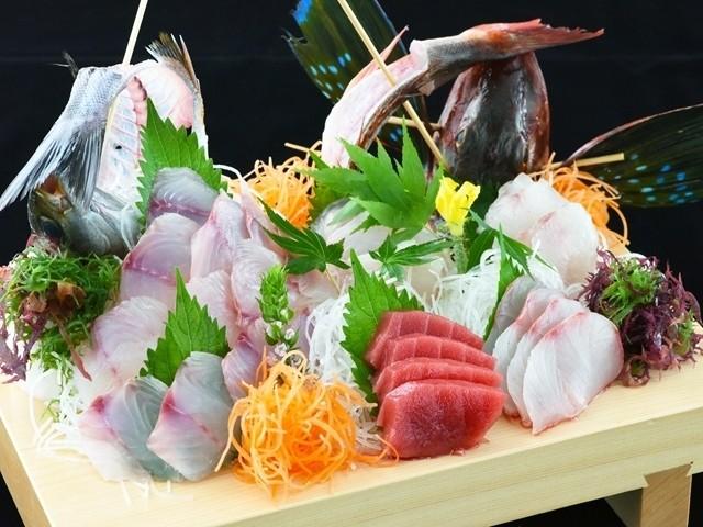 新鮮な地魚 板盛