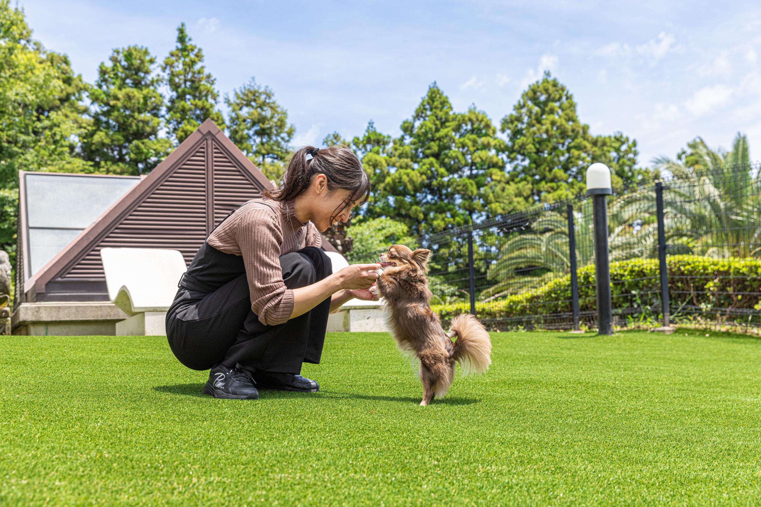 愛犬お宿 伊豆高原のメインビジュアル
