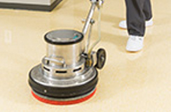 専用薬剤でクリーニング