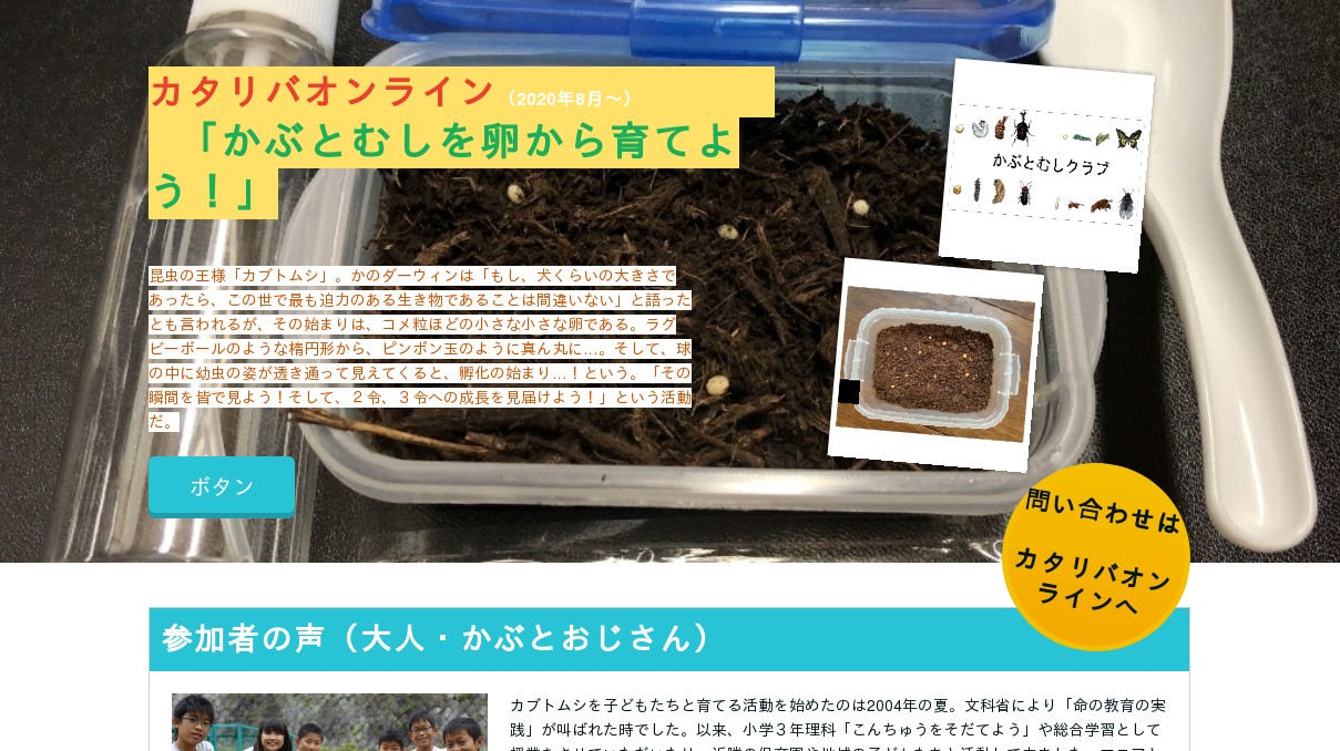 カタリバオンライン カブト虫を卵から育てよう