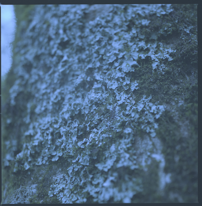 株式会社soil 一般社団法人green4 ホームページ