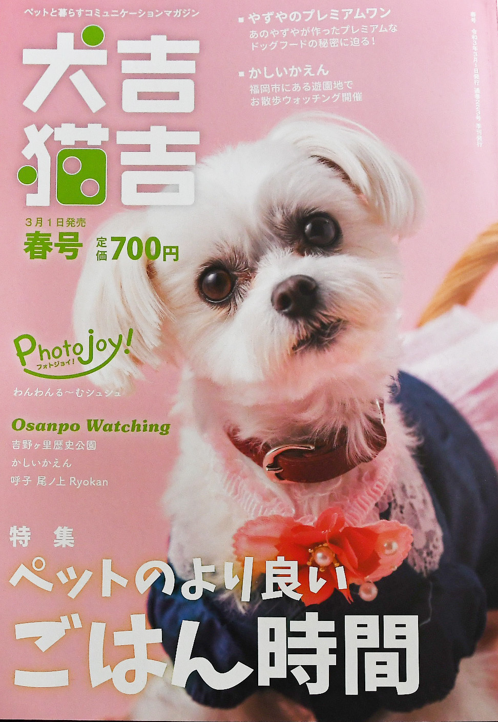 風を読む占い師 神種 陽子ママ の癒しのカフェtop