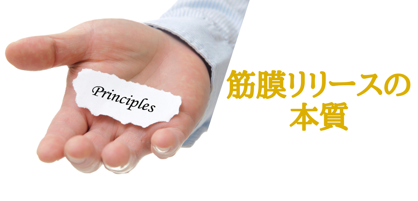 筋膜リリースプラクティショナー資格講座