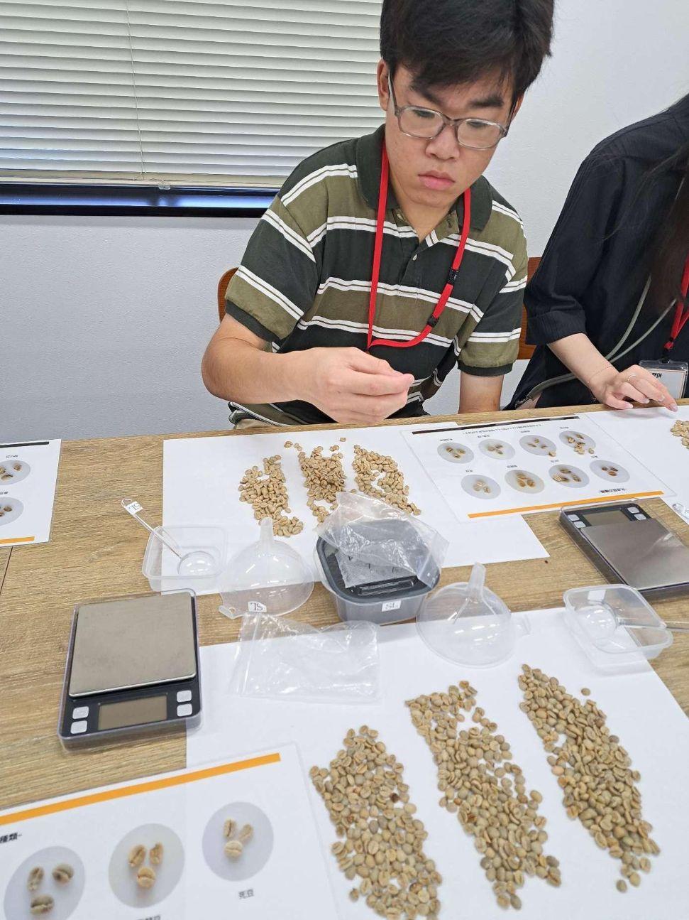 放デイ　お仕事体験