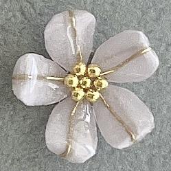 パピエル協会認定講師