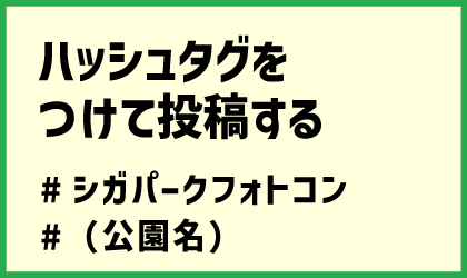 ハッシュタグを付けて投稿する