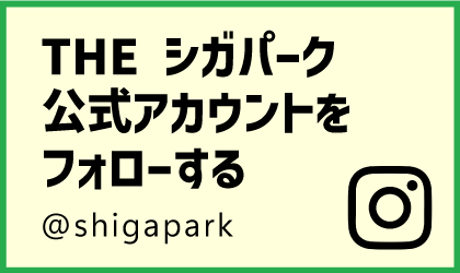 THE シガパーク公式アカウントをフォローする