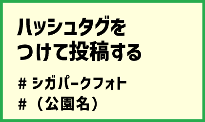 ハッシュタグを付けて投稿する