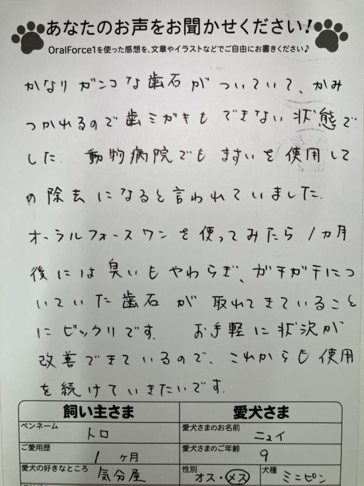 アンケートはがき4