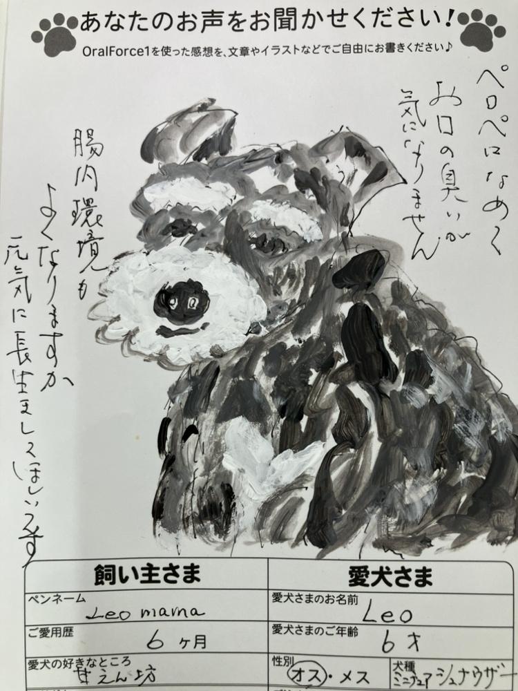 アンケートはがき2（裏）