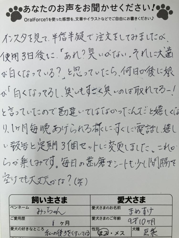 アンケートはがき1（表）