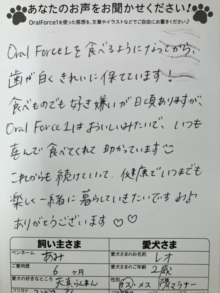 アンケートはがき3