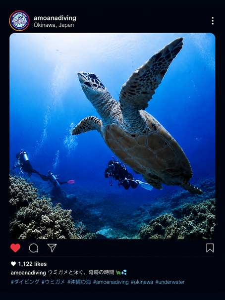 アモアナダビングスクールインスタグラム