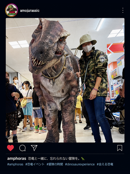 アモジュラシックインスタグラム