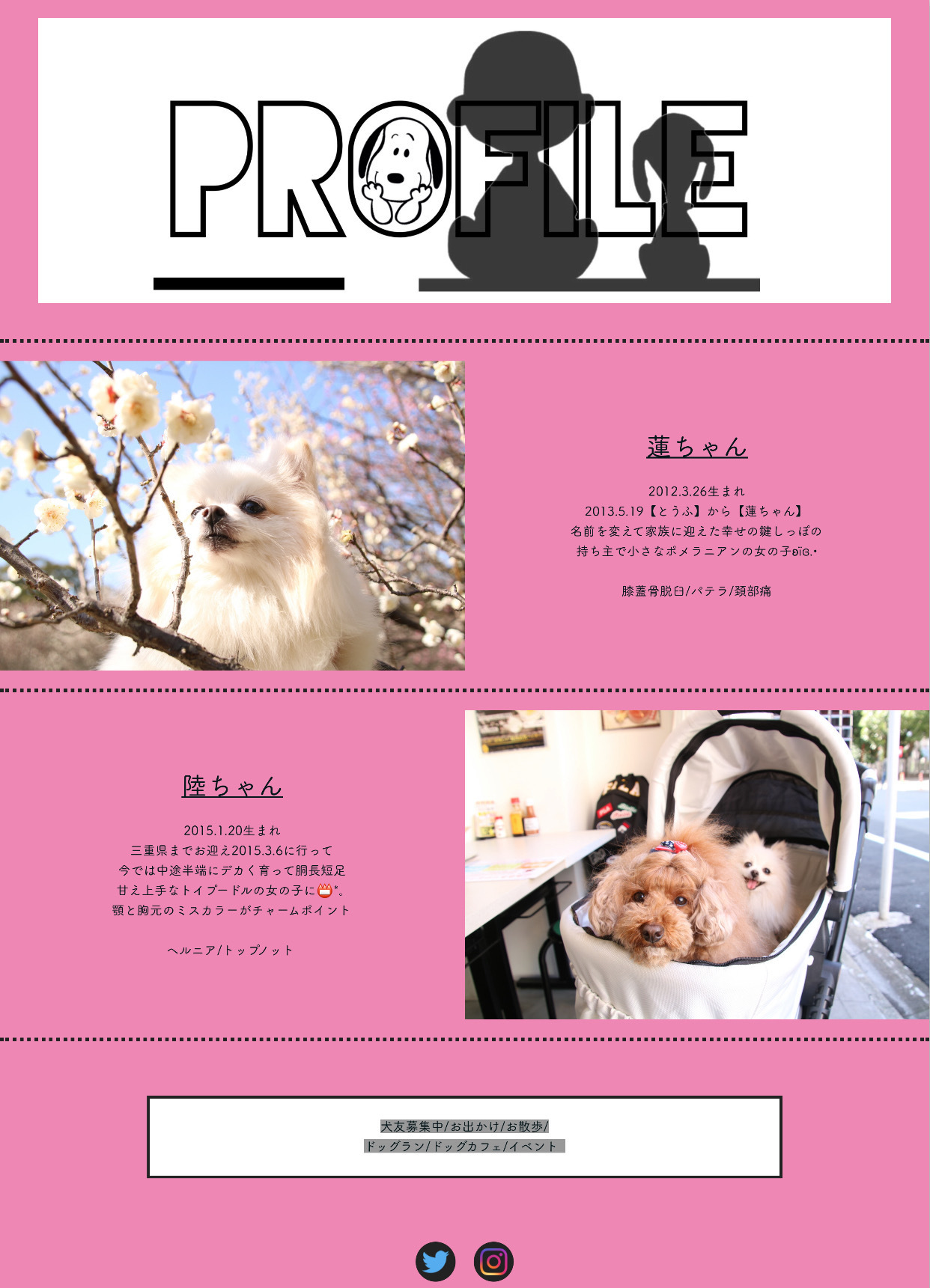 愛犬 プロフィール