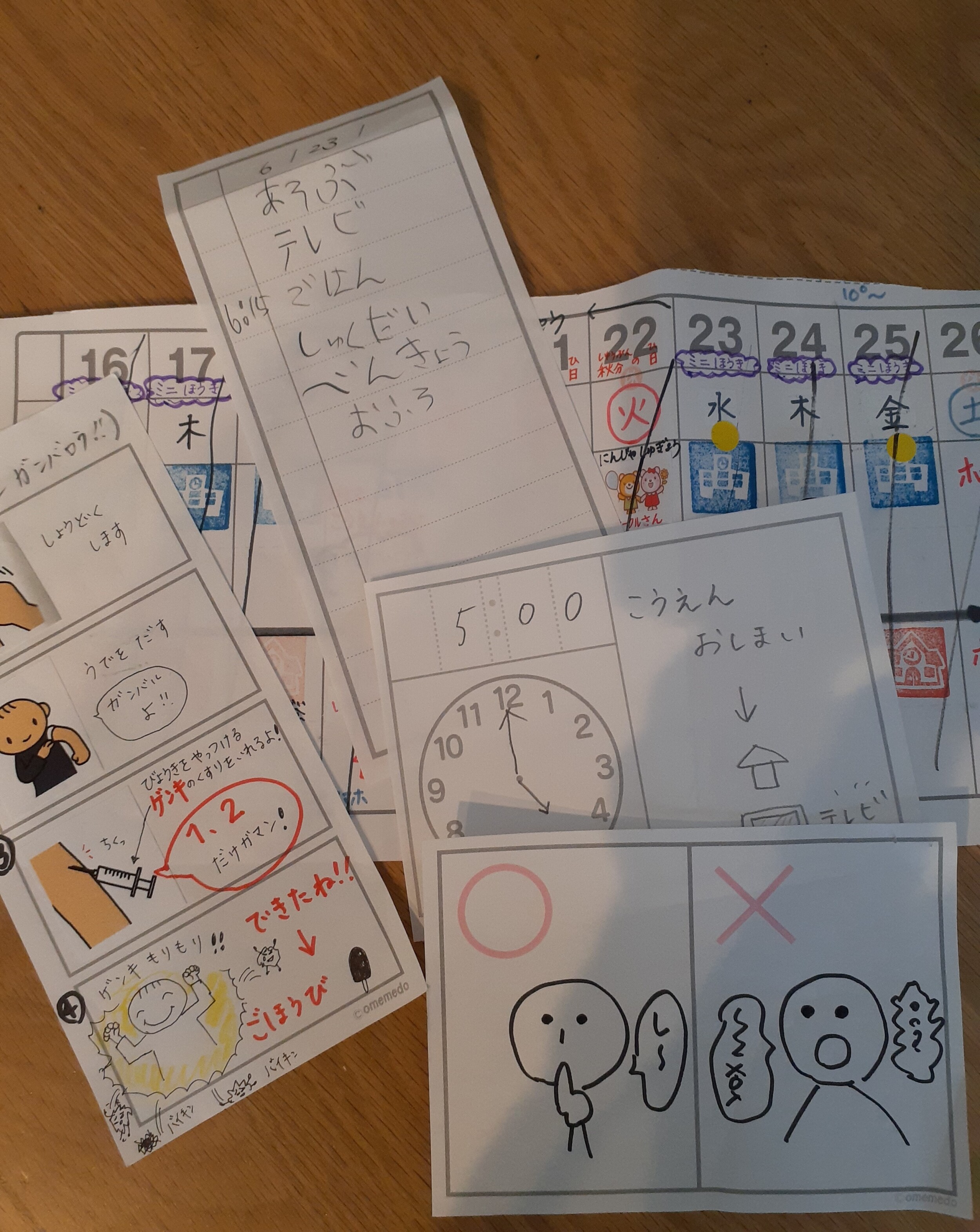 モンテッソーリ 視覚サポート講座