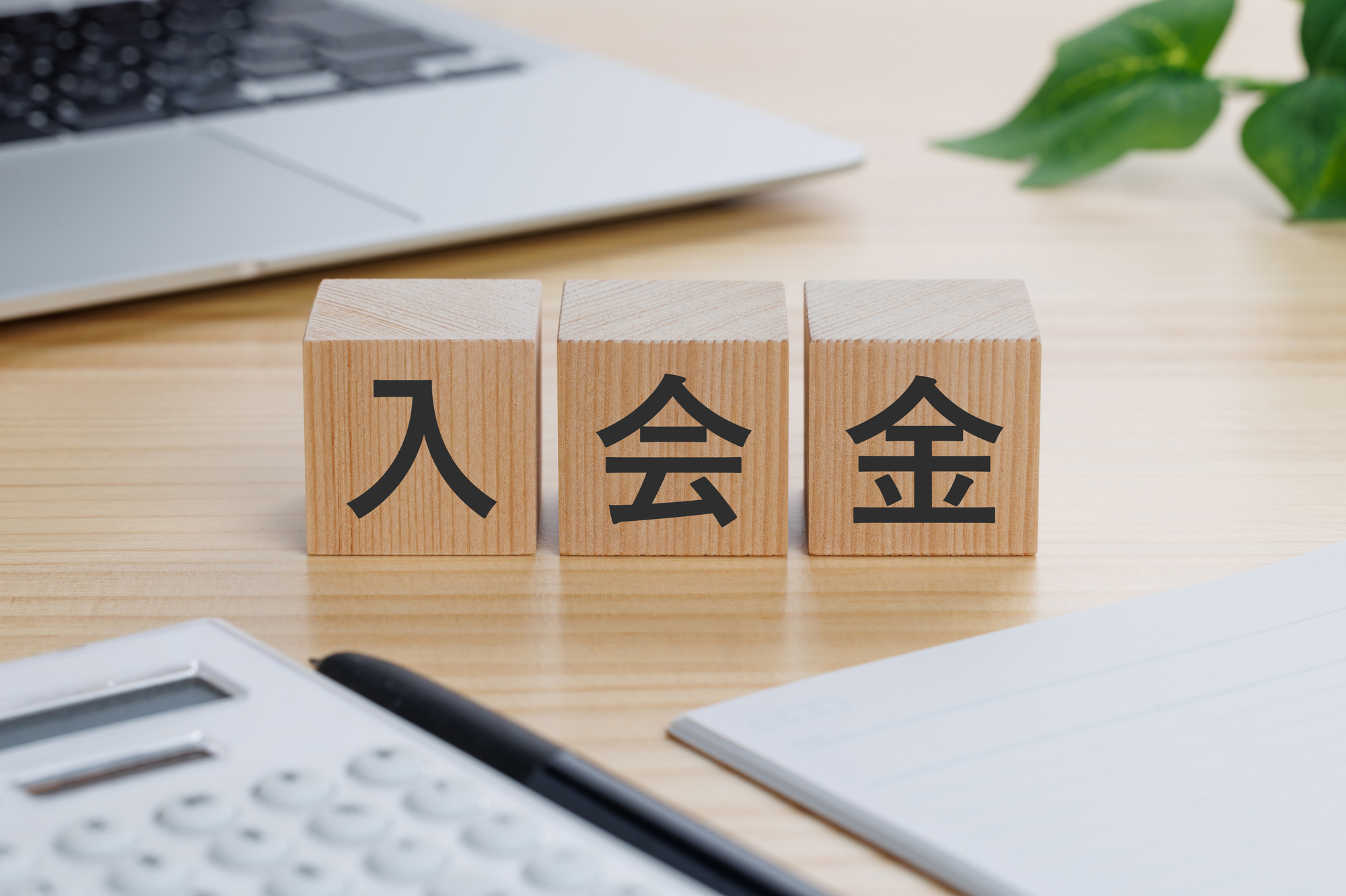 わかりやすい料金システム