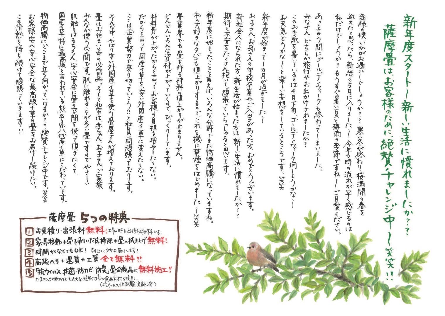 鹿児島　鹿児島市　畳店　畳　畳替え　畳張替　琉球畳　おしゃれ畳　襖　障子　網戸　畳替えキャンペーン　鹿児島畳店