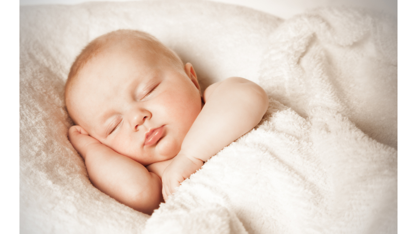 迅速・丁寧に対応するコーディネーター