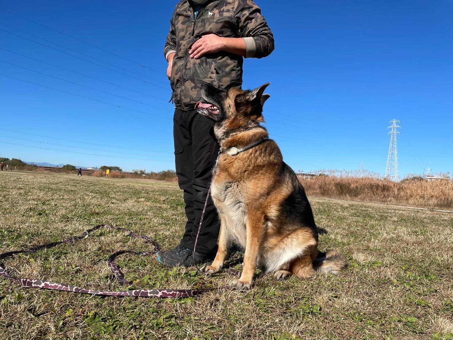 ご利用時の注意点