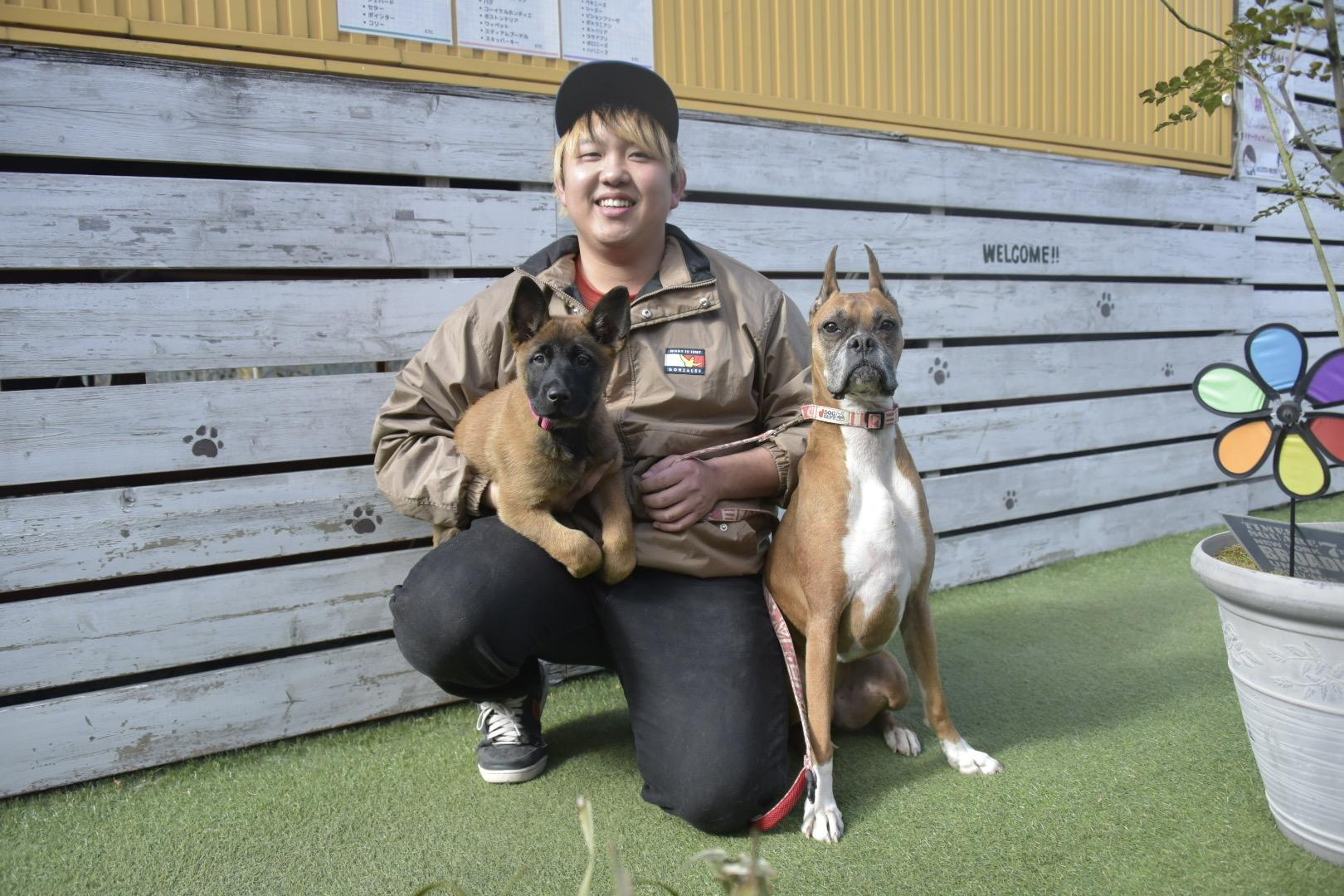 ドッグトレーナー