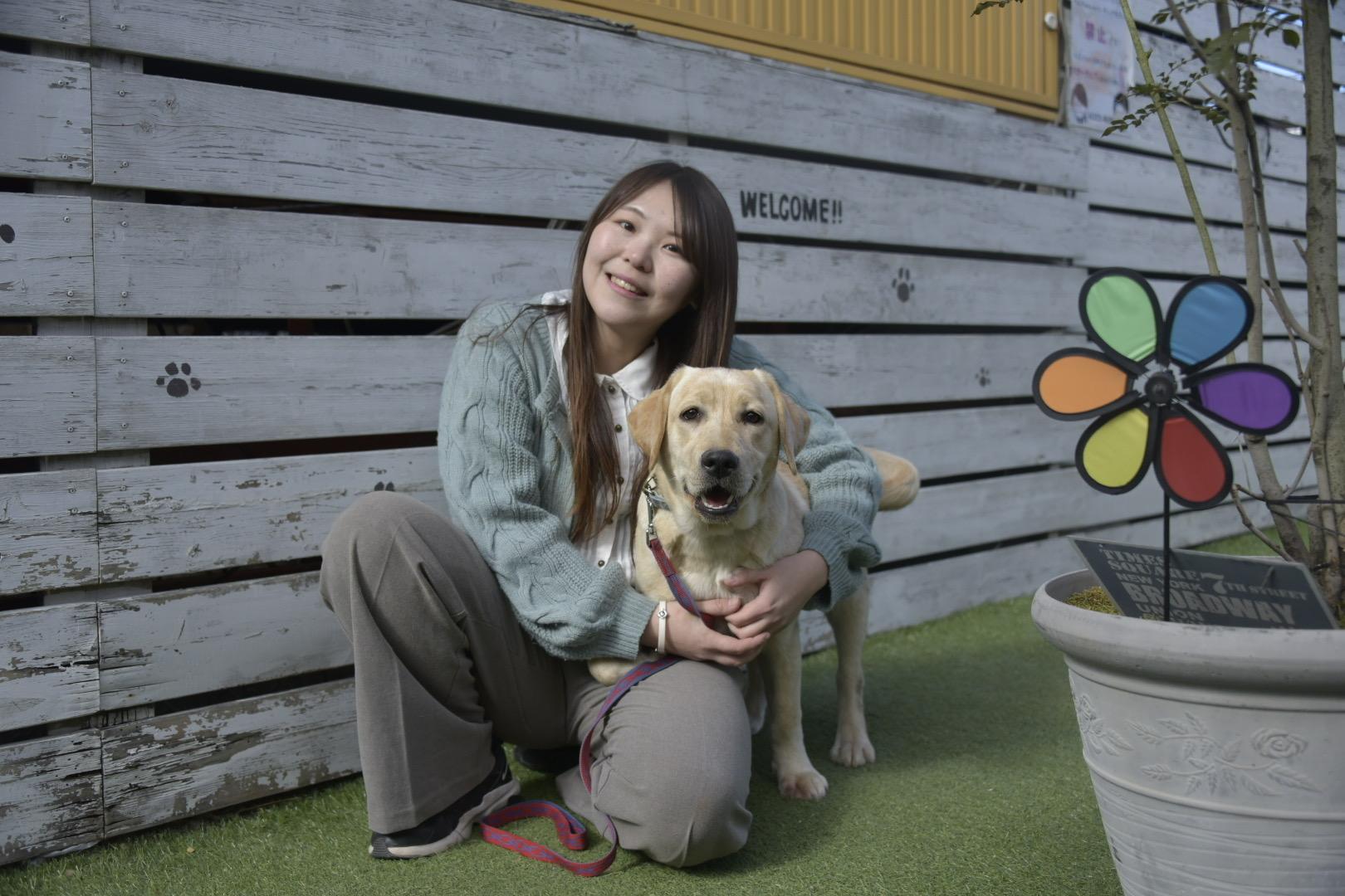 ドッグトレーニング