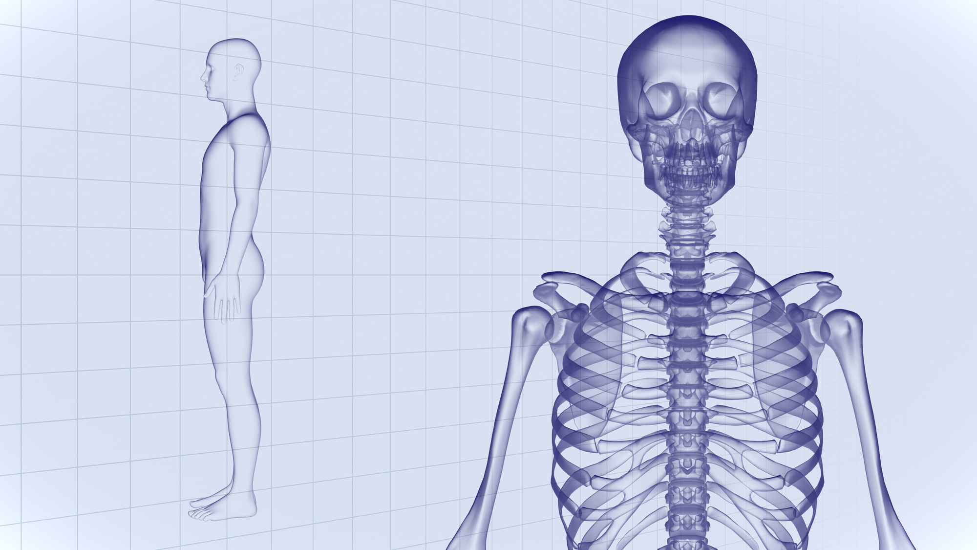 頭蓋骨矯正養成講座
