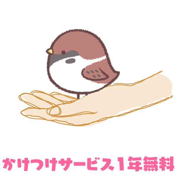 クリエのマスコット名づけ親選手権 クリエすずき建設