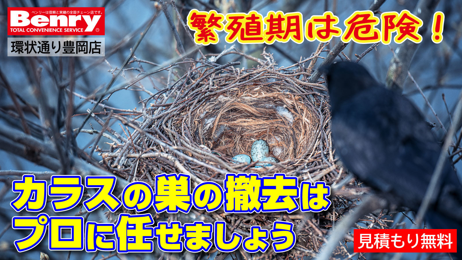 旭川市でカラスの巣の駆除ならベンリー環状通り豊岡店 繁殖期のカラスは危険です