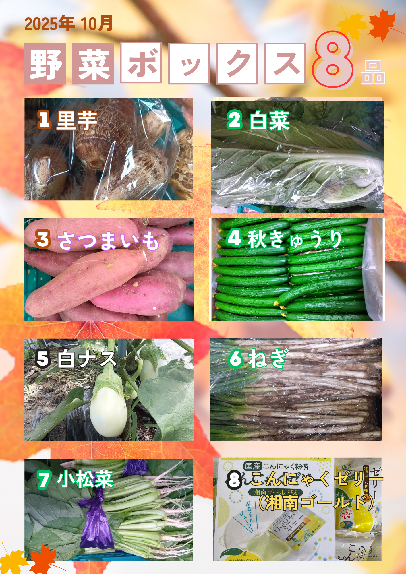 にげるやさい 8個入りBOX