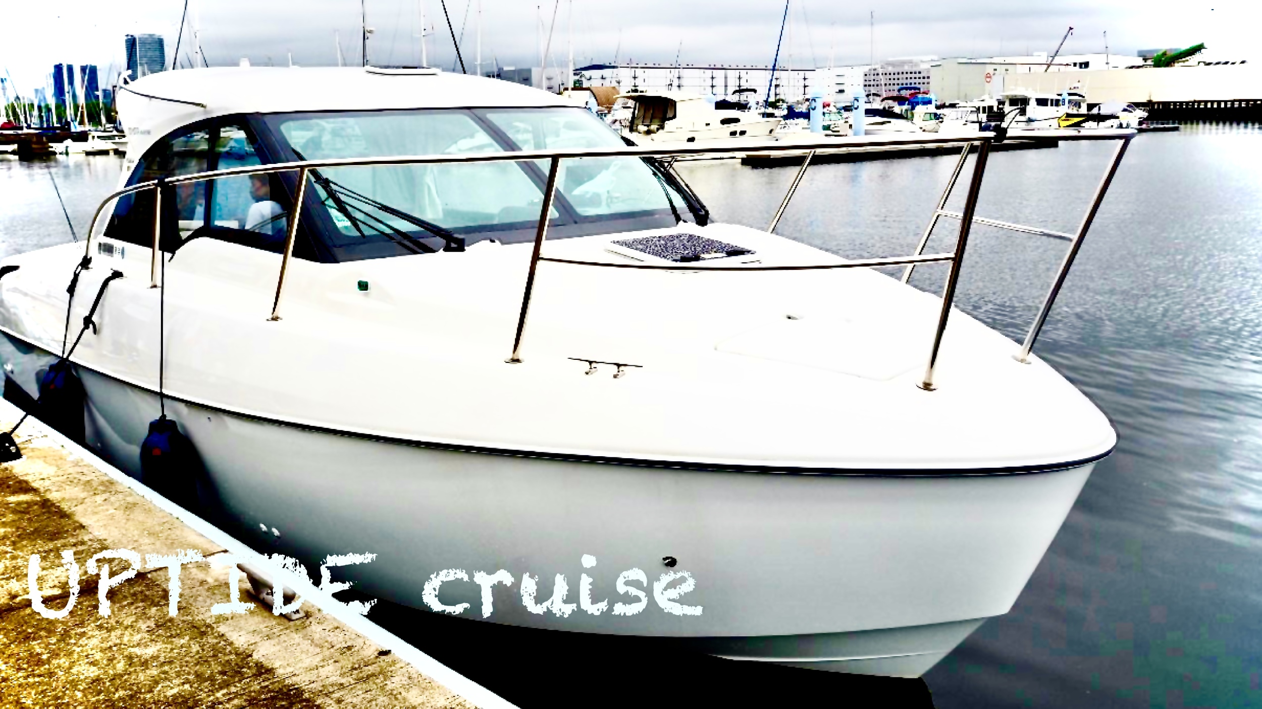 東京湾の貸切クルーザーでクルージング アップタイド